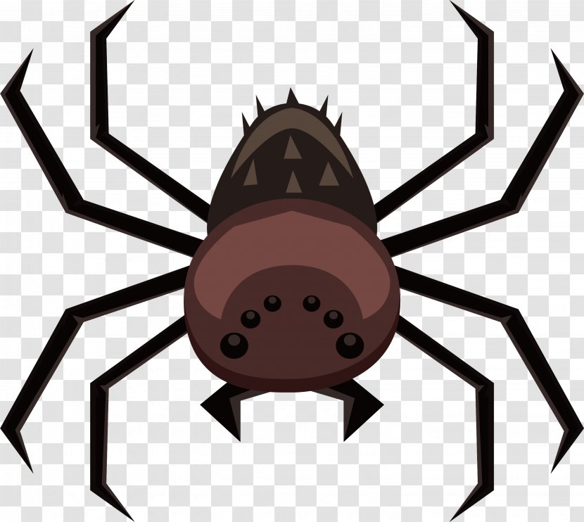 Spider Euclidean Vector Clip Art - Arachnid - The Great Transparent PNG