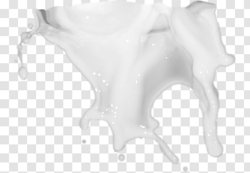 Milk White Splash Transparent PNG