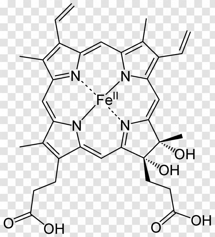 Heme Porphyrin Chemistry Iron Acid - Flower - Heart Transparent PNG