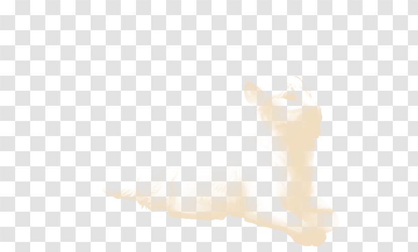 Whiskers Cat Dog Canidae Paw Transparent PNG