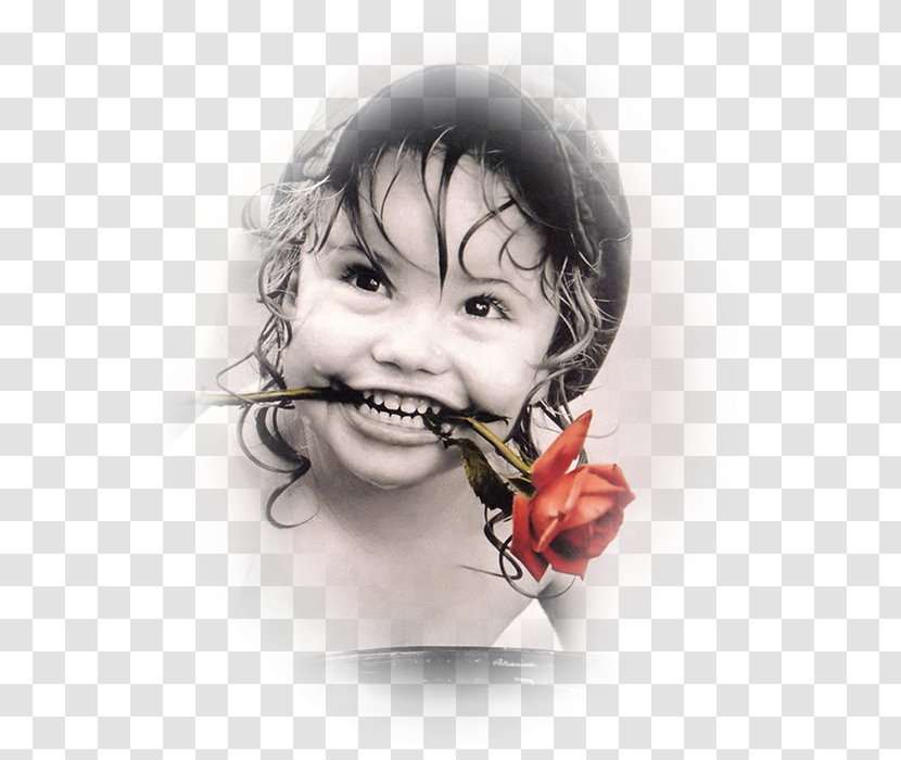 Photography Photographer Child Infant 8 March Transparent PNG