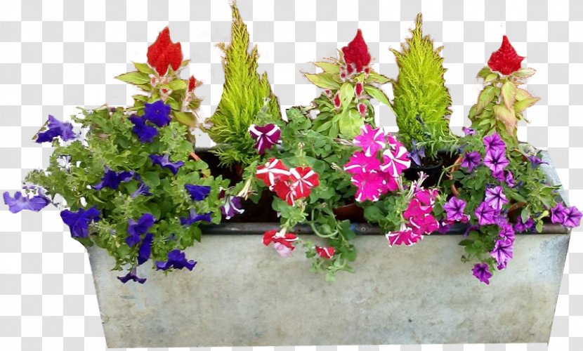 Flowerpot Flower Box Garden - Container - Plastic Transparent PNG