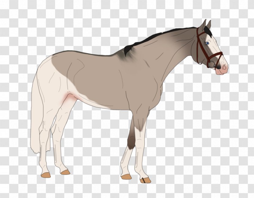 Mule Foal Stallion Rein Pony - Saddle - Mustang Transparent PNG