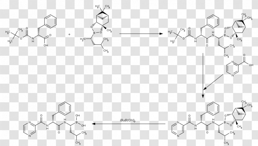 Glipizide Gliclazide Glibenclamide Glimepiride White - Drawing Transparent PNG