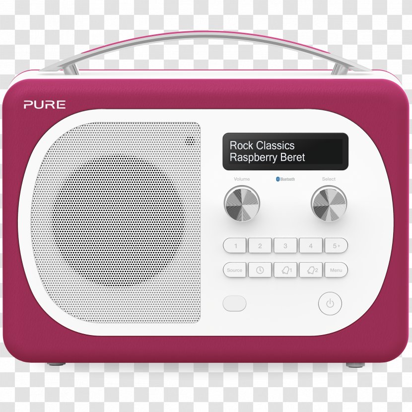 Digital Audio Broadcasting Radio Pure FM - Receiver Transparent PNG