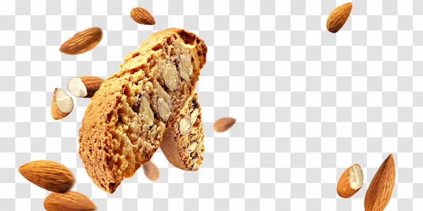 Nut Biscotti Cheesecake Gluten-free Diet - Superfood - Almond Transparent PNG