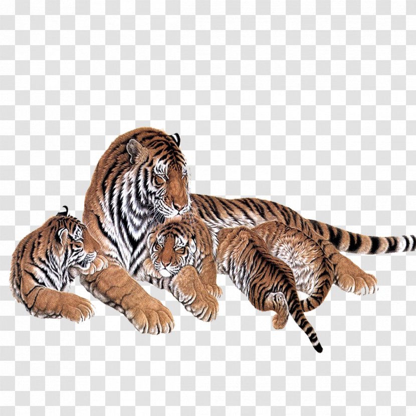 Siberian Tiger Painting Two Tigers - Poster - Creative Baby Transparent PNG
