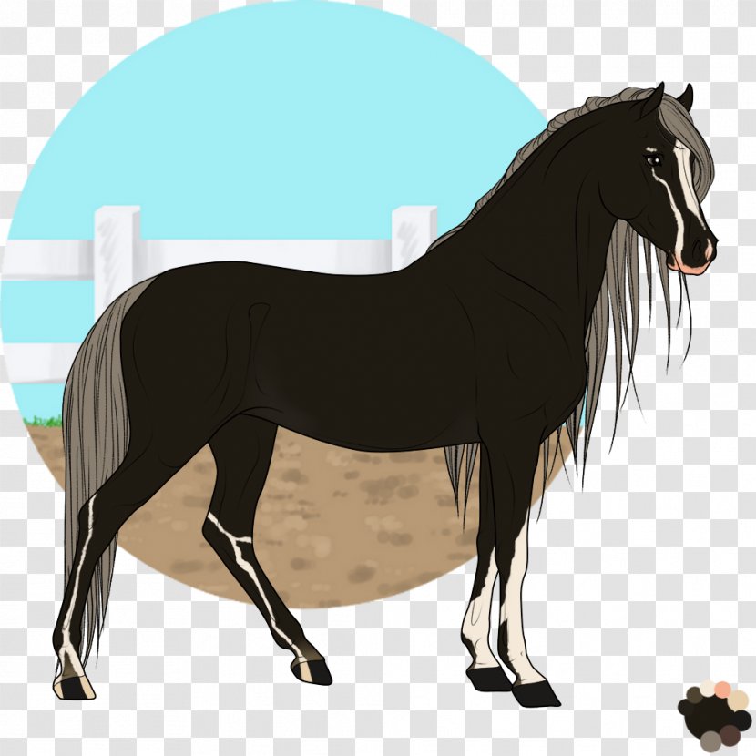 Mane Mustang Stallion Foal Colt - Mammal - Storm Troopers Transparent PNG