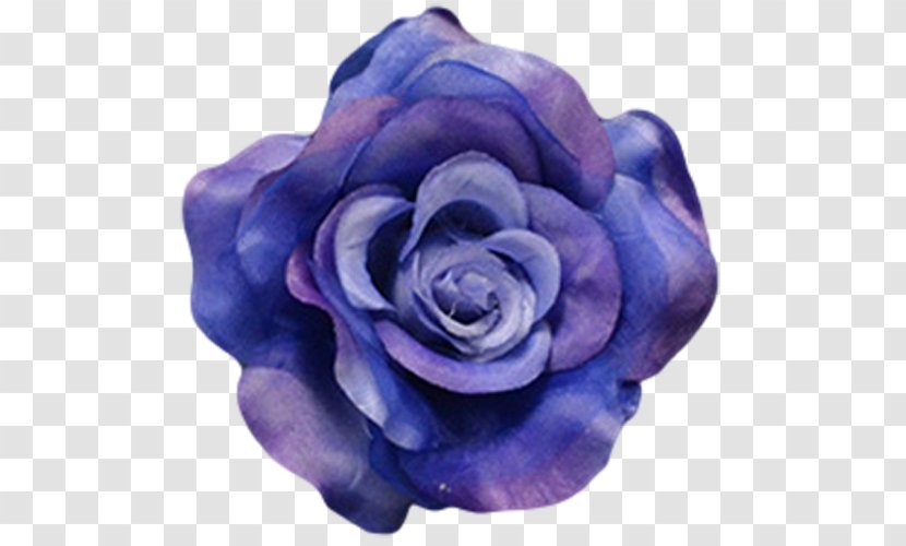 Flower Blue Rose Petal - Fuchsia Transparent PNG