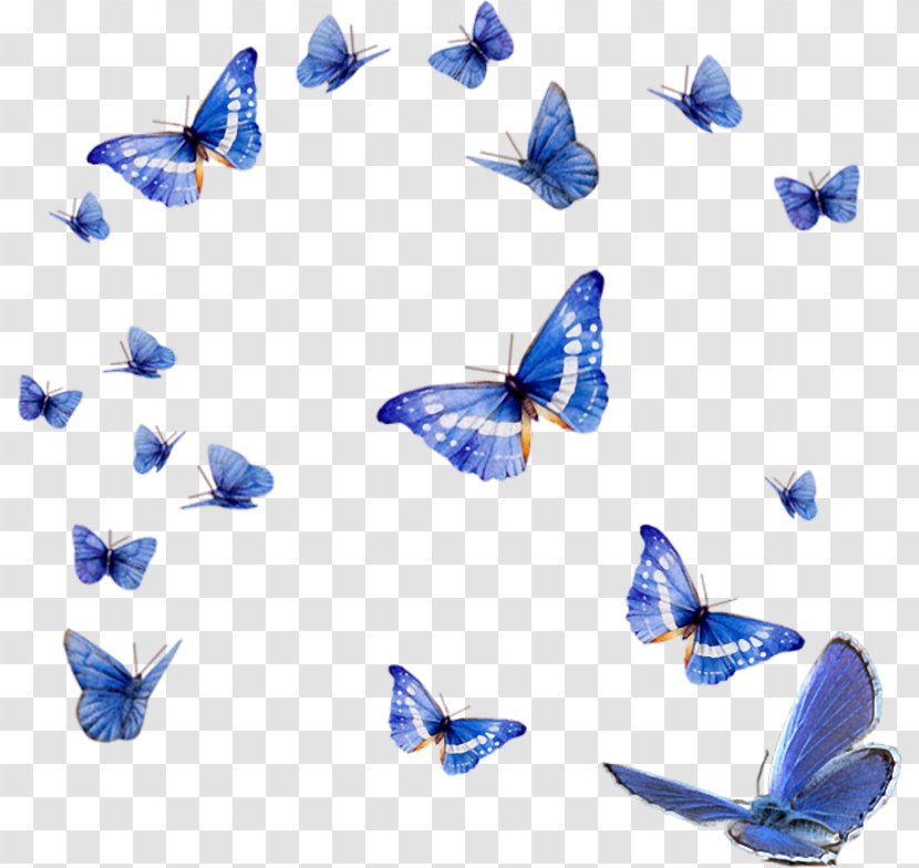 Insect Menelaus Blue Morpho Monarch Butterfly Clip Art - Dreams Background Transparent PNG