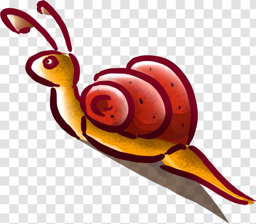 Gastropods Snail Caracol Clip Art - Snails Transparent PNG