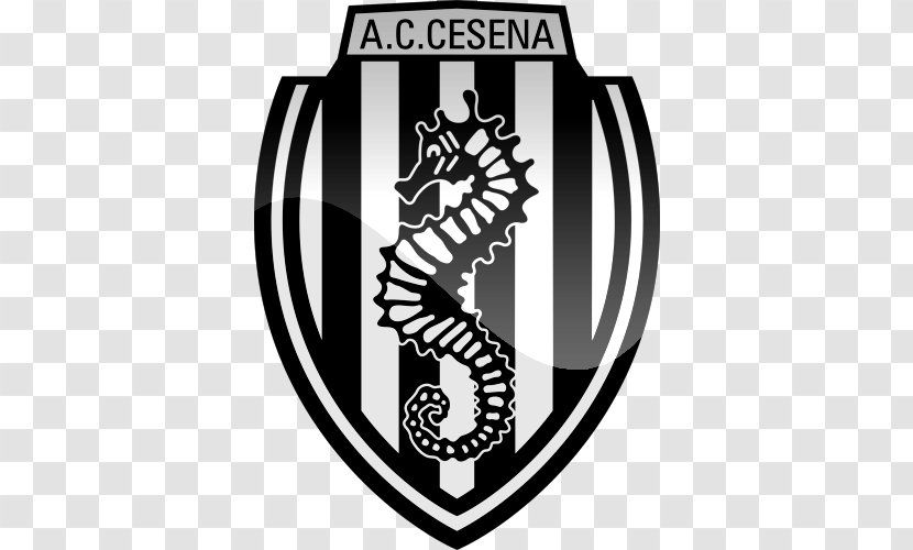A.C. Cesena Under-19 Serie A Hellas Verona F.C. - Acf Fiorentina - Ac Formations Consulting Transparent PNG