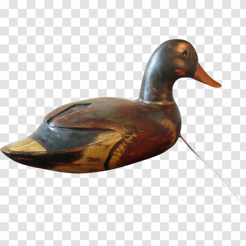 Mallard Duck Beak - Water Bird Transparent PNG