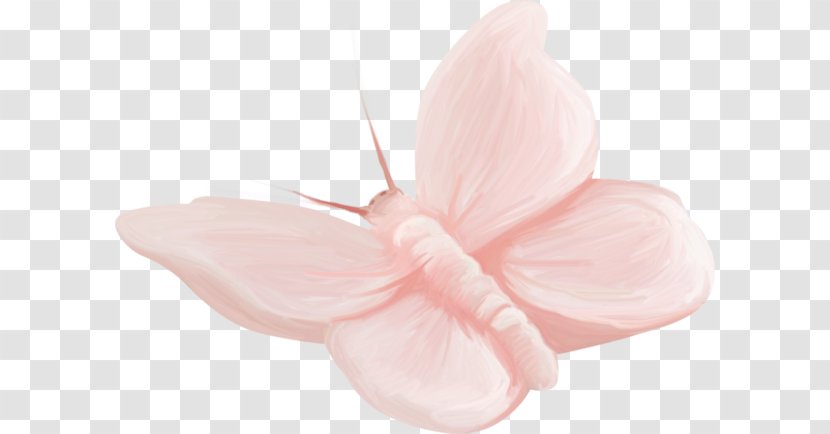 Butterfly Watercolor Painting - Search Engine Transparent PNG