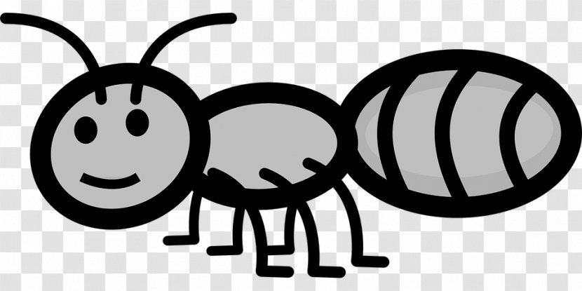 Ant Clip Art Openclipart Download Drawing - Insect Transparent PNG