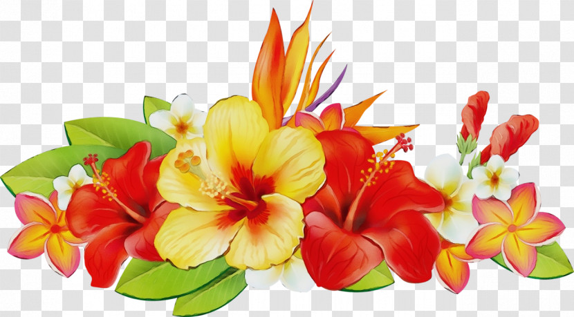 Floral Design Transparent PNG