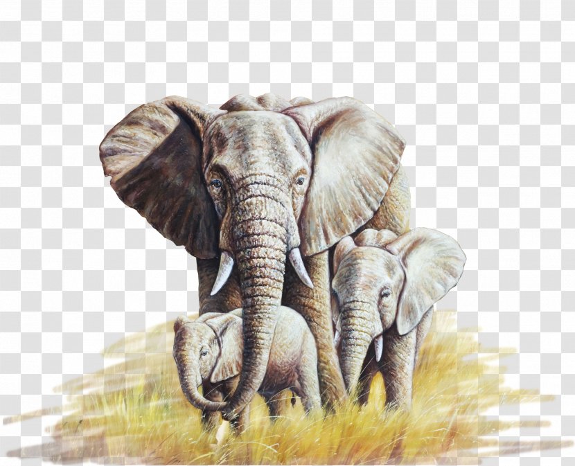 African Elephant Oil Painting Canvas - Mural Transparent PNG