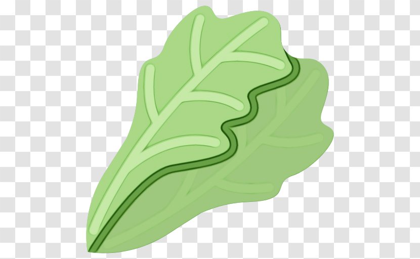 Green Grass Background - Leaf Vegetable - Sport Venue Transparent PNG
