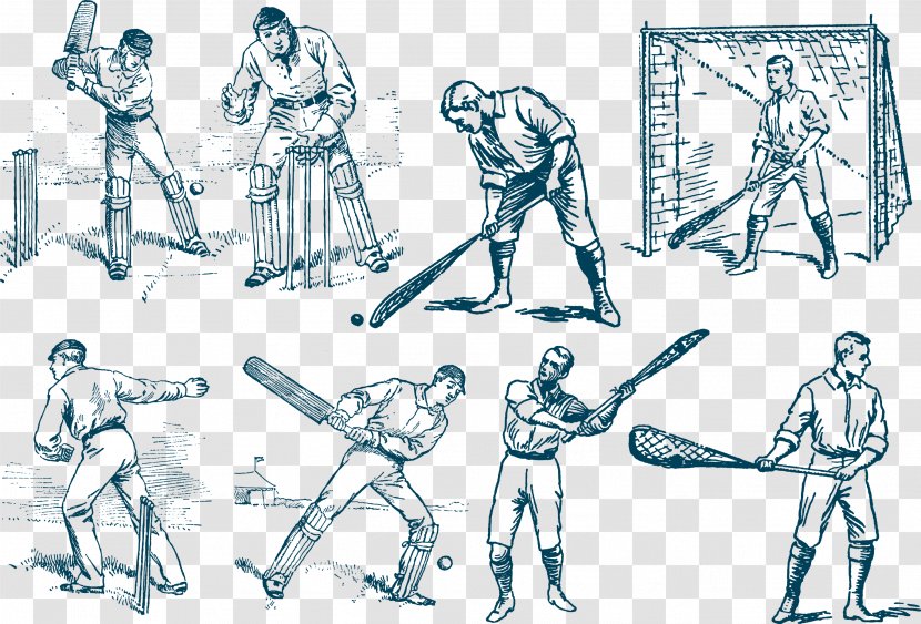 Cricket Sport Sketch - Human - Vector Baseball Transparent PNG