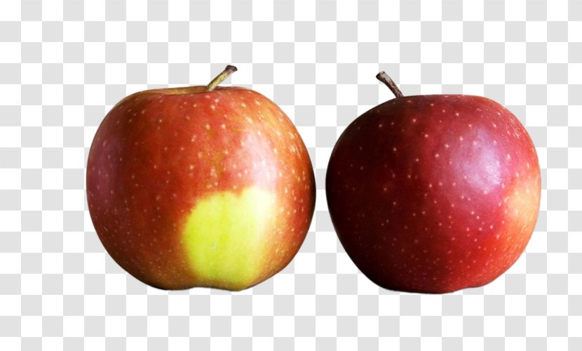 Apples To Cider And Oranges Food - Apple Transparent PNG