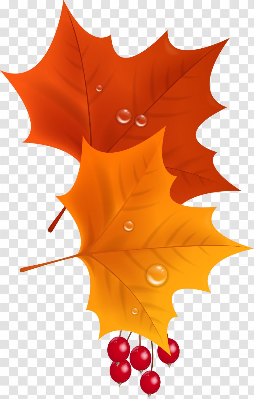 Maple Leaf Clip Art - Bookmark - Autumn Transparent PNG