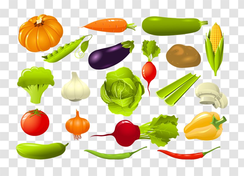 Vegetarian Cuisine Vector Graphics Vegetable Clip Art Illustration - Diet Food Transparent PNG