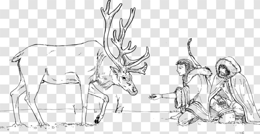 Reindeer Cattle Antler Sketch - Like Mammal Transparent PNG