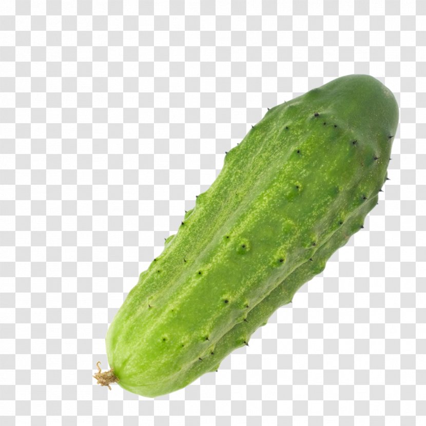 Pickled Cucumber Icon - Melon Transparent PNG
