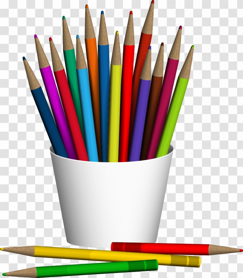 Colored Pencil - Stationery - Vector And Pen Transparent PNG