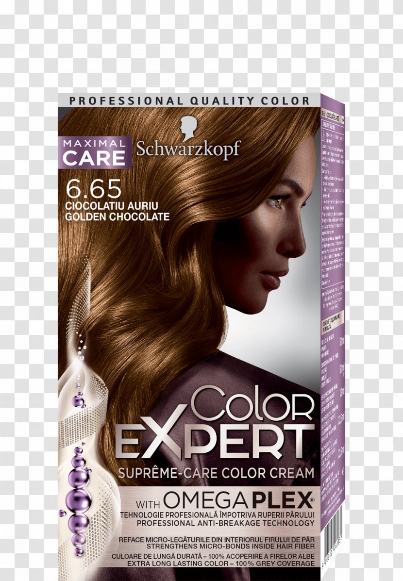 Schwarzkopf Colour Specialist Boya Hair Coloring Brown - Color - Light Transparent PNG