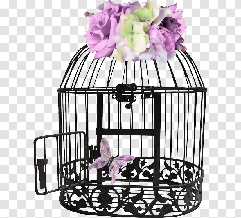 Birdcage Image Photography - Bird Transparent PNG