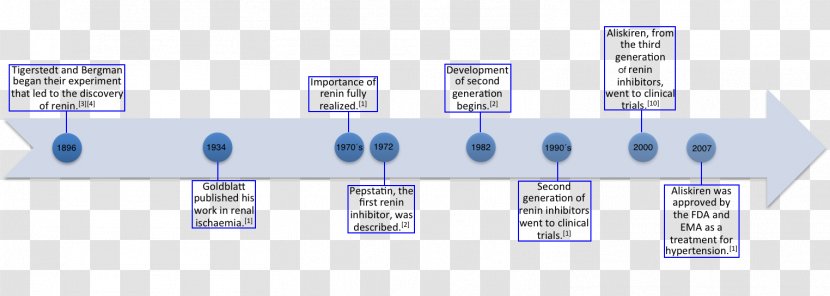 Renin Inhibitor Hypertension Hormone Enzyme - Timeline Transparent PNG