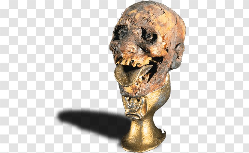 Bone Skull Jaw - Chalice - Sign Transparent PNG