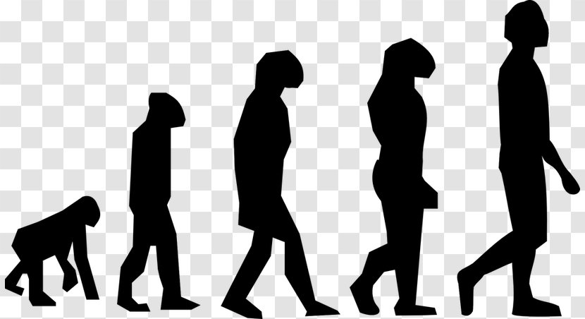 March Of Progress Homo Sapiens Ape Human Evolution - Evolutionary Biology - Hui Culture Transparent PNG