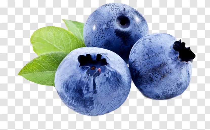 Blueberry Skin Care Facial Moisturizer - Face - Blueberries Transparent PNG