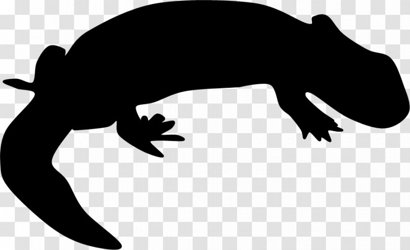 Amphibian Reptile Silhouette White Clip Art - Black And Transparent PNG