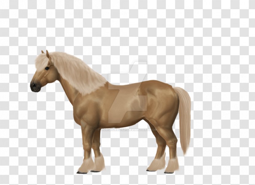 Mustang Pony Mane Foal Barb Horse Transparent PNG