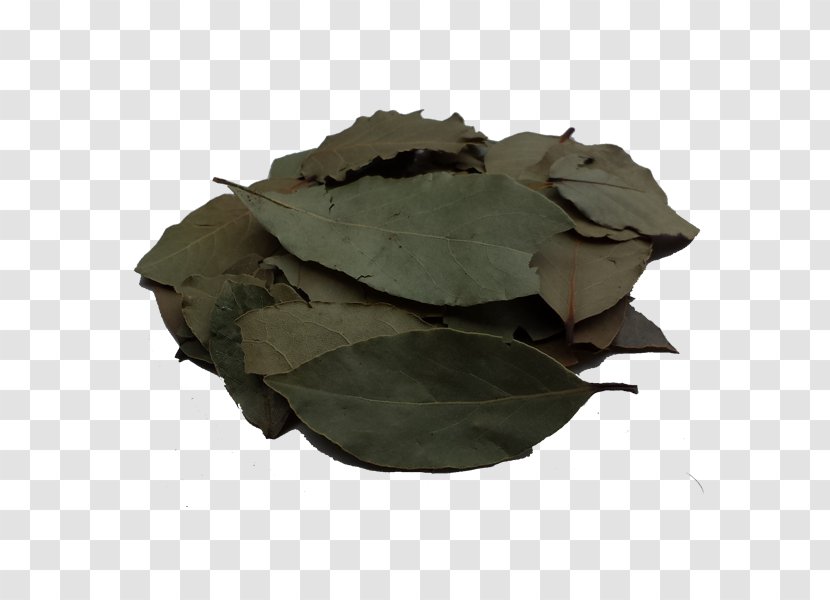 Herb Spice Brozzian Need - Customer - Parsley Transparent PNG
