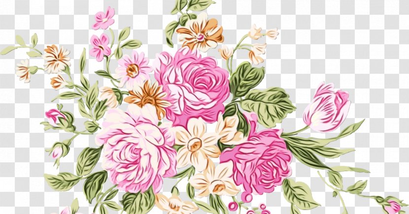 Garden Roses - Rose - Cut Flowers Floral Design Transparent PNG