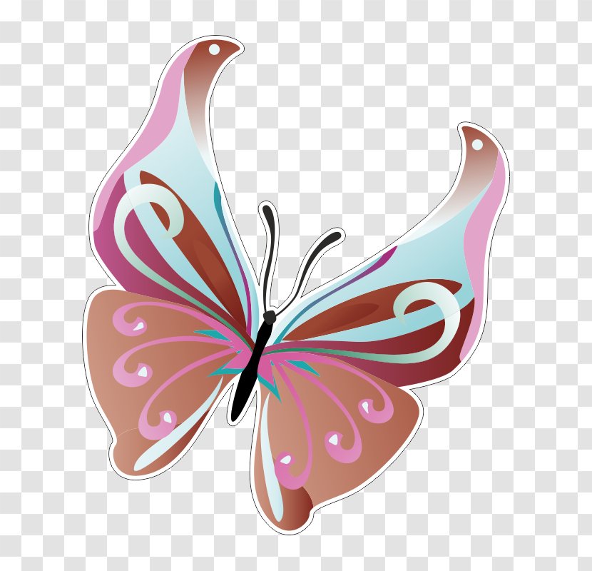 Butterfly Insect - Pink Transparent PNG