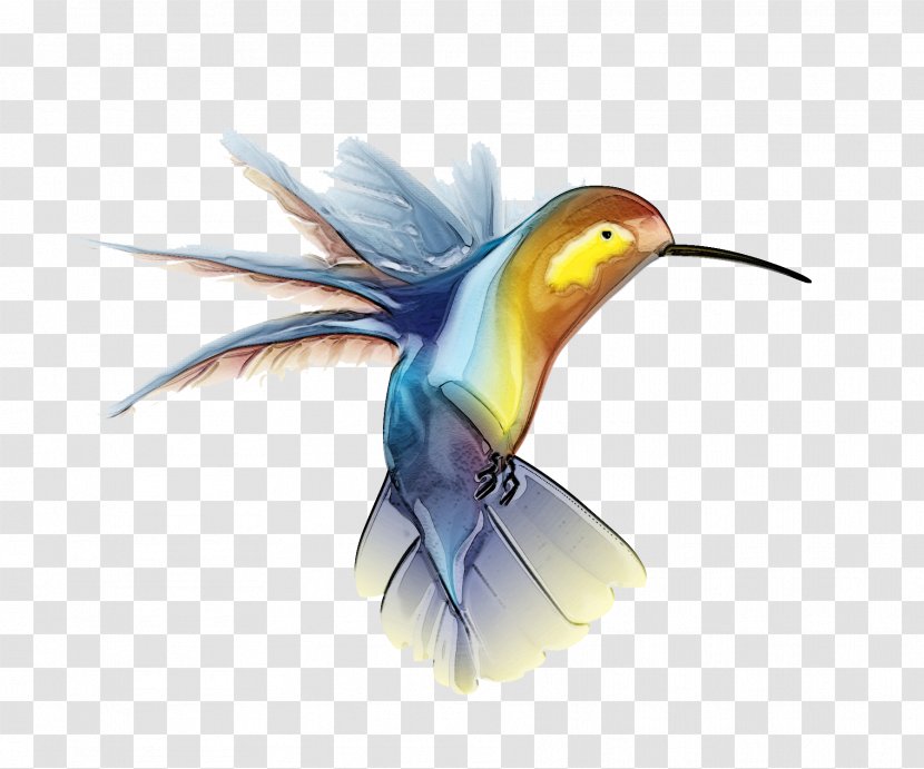 Hummingbird Clip Art - Bird Flight - Picture Transparent PNG