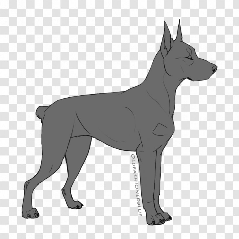 Dog Breed Dobermann Great Dane Miniature Pinscher - Tree - Blue Doberman Puppies Transparent PNG