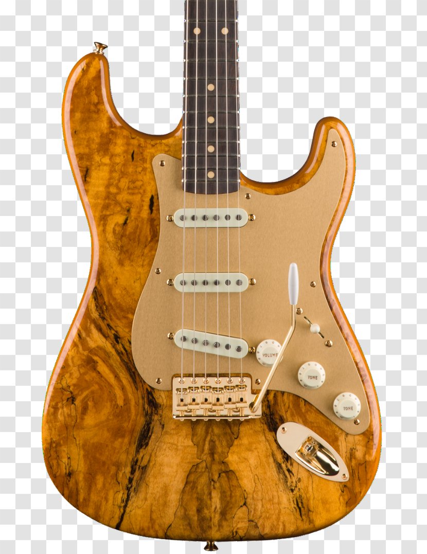 Electric Guitar Bass Fender Stratocaster Spalting Transparent PNG