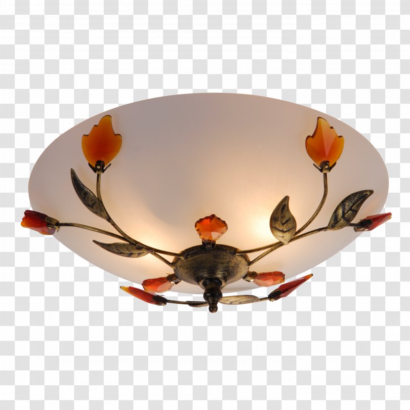 Light Fixture Bedside Tables Ceiling Edison Screw - Orange Transparent PNG