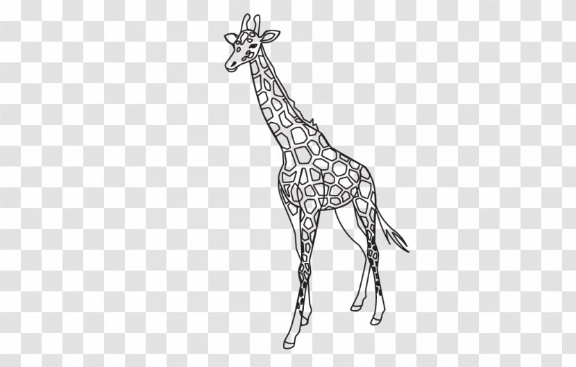 Giraffe Outline Template Lion Pattern - Wordpress Transparent PNG