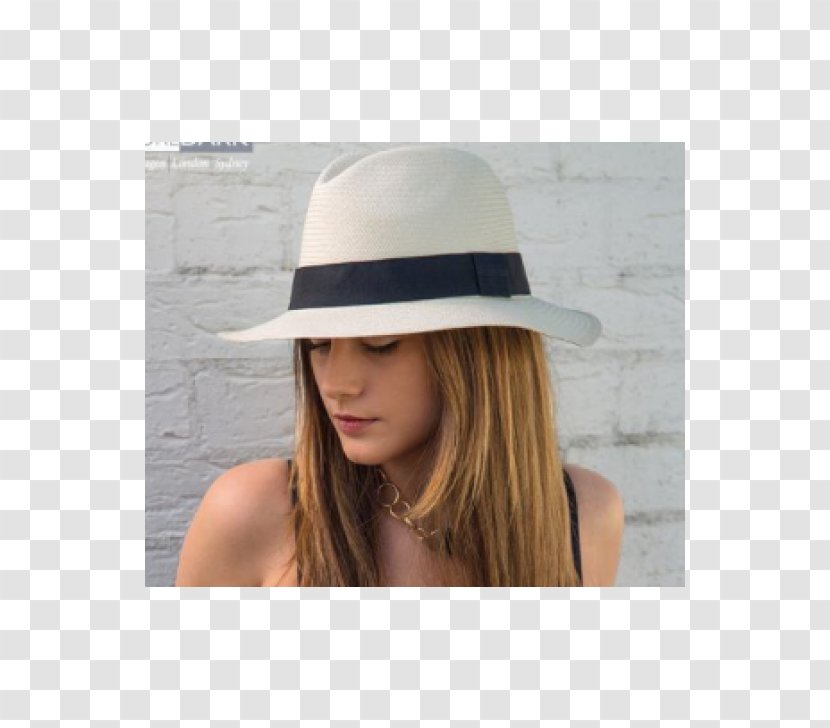 Sun Hat Fedora Star Anise Cap - Felt Transparent PNG