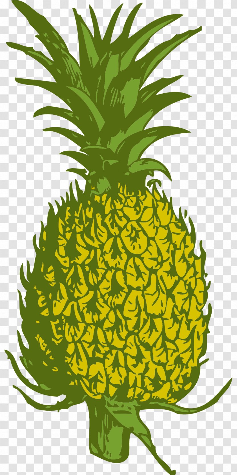 Vector Graphics Clip Art Image Illustration - Pineapple - Amine Transparent PNG