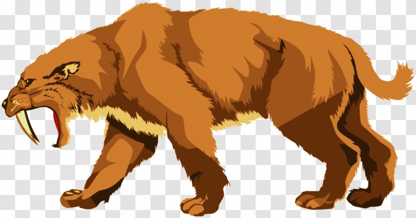 Saber-toothed Tiger Felidae Cat Clip Art - Carnivore Transparent PNG