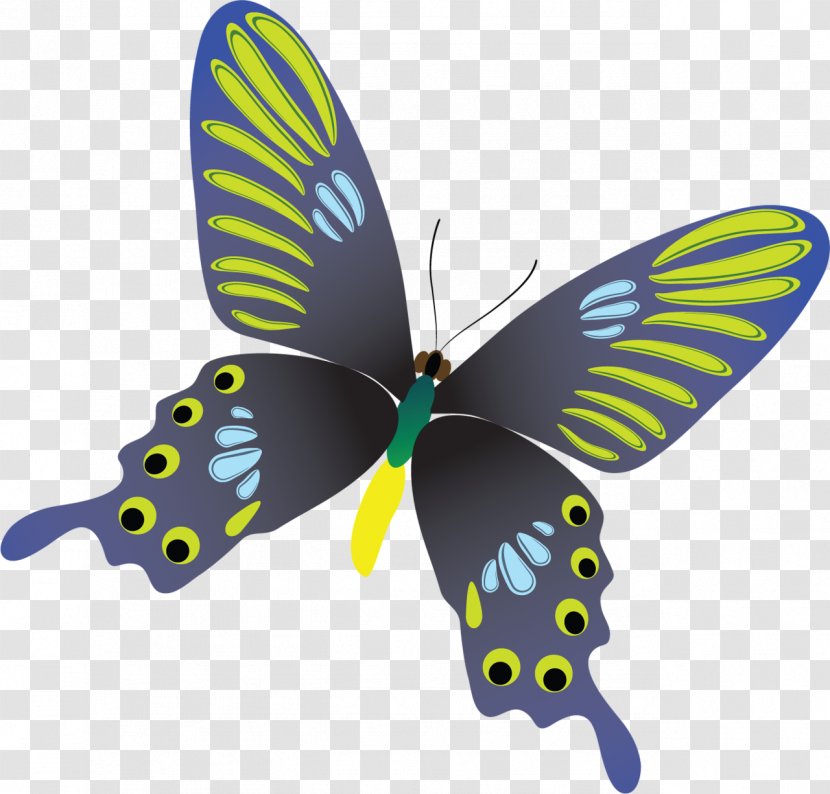 Butterfly Insect Clip Art - Yandex Search Transparent PNG
