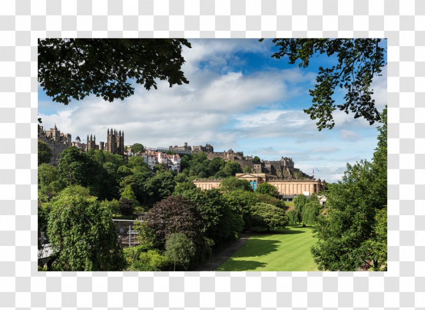 Suburb Property Tree Garden Tourism - Area - Edinburgh Castle Transparent PNG